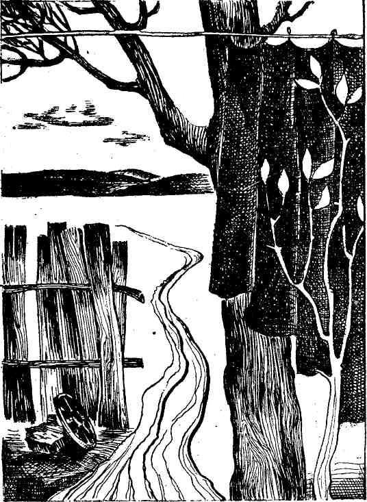 Полдень следующего дня - img_2.jpeg