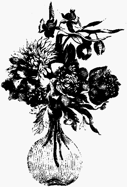 Сильвандир. Сальтеадор (ил. И.Ушакова) - fmf013c.png