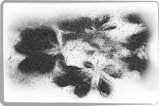 Литжурнал «Бродячий заяц» № 19 «О, сны...» - _12.jpg