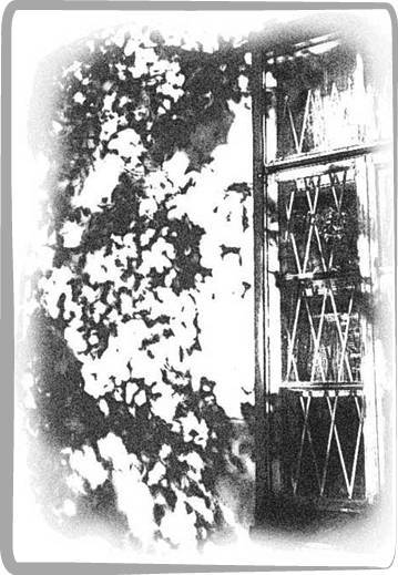 Литжурнал «Бродячий заяц» № 19 «О, сны...» - _14.jpg