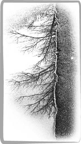 Литжурнал «Бродячий заяц» № 19 «О, сны...» - _3.jpg