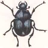 Соседи по планете. Насекомые - i_005.jpg