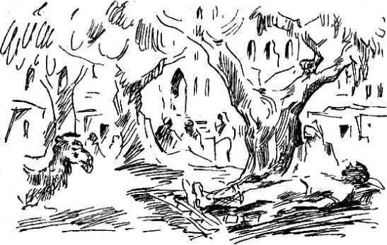 За чудесным зерном - i_022.jpg