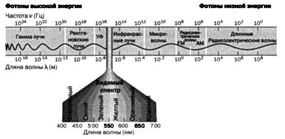 У атомов тоже есть сердце. Резерфорд. Атомное ядро - img_25.jpg