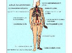 Болезнь Бехтерева - _8.jpg