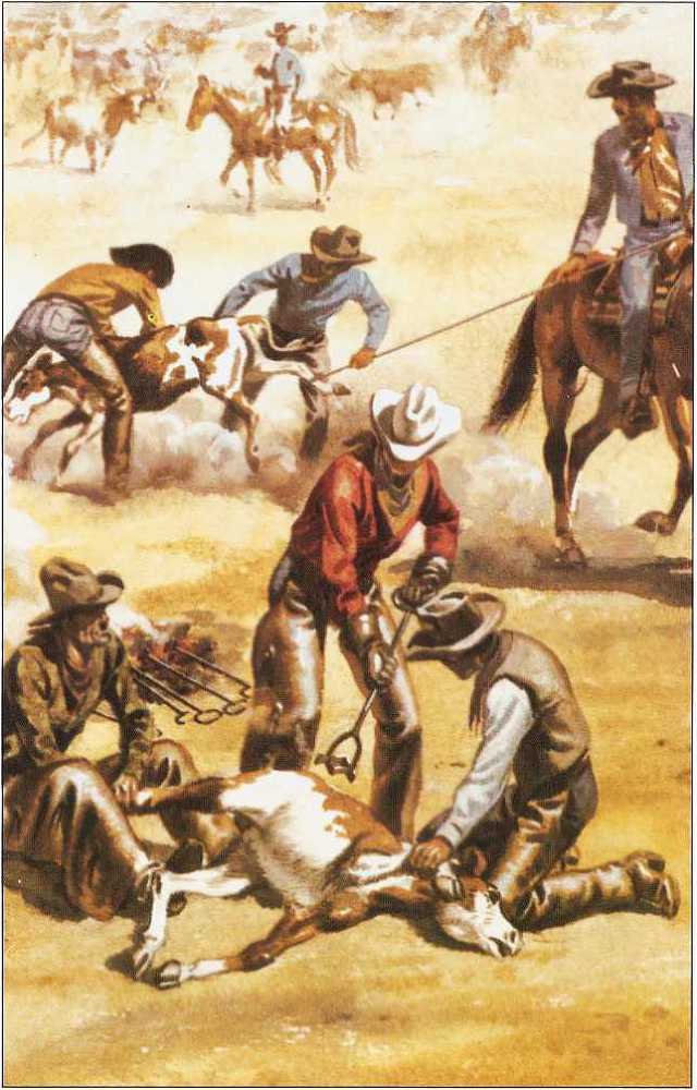 Пираты. Индейцы. Ковбои - image46.jpg