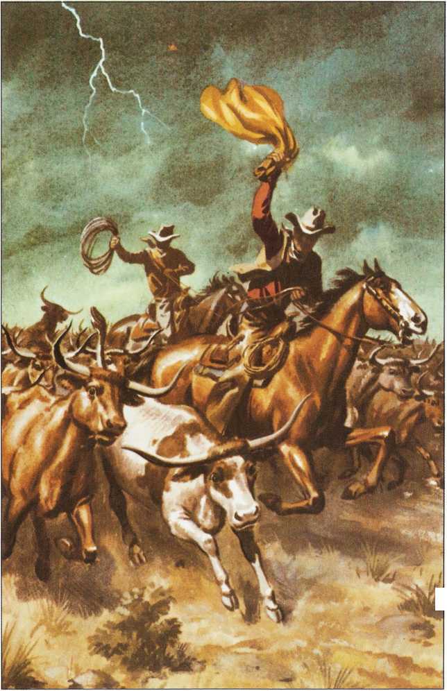 Пираты. Индейцы. Ковбои - image48.jpg