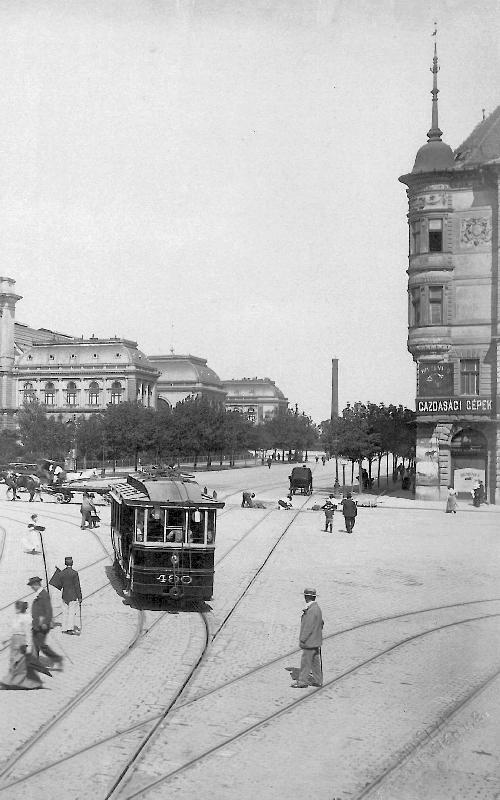 Триумф красной герани. Книга о Будапеште - i_016.jpg