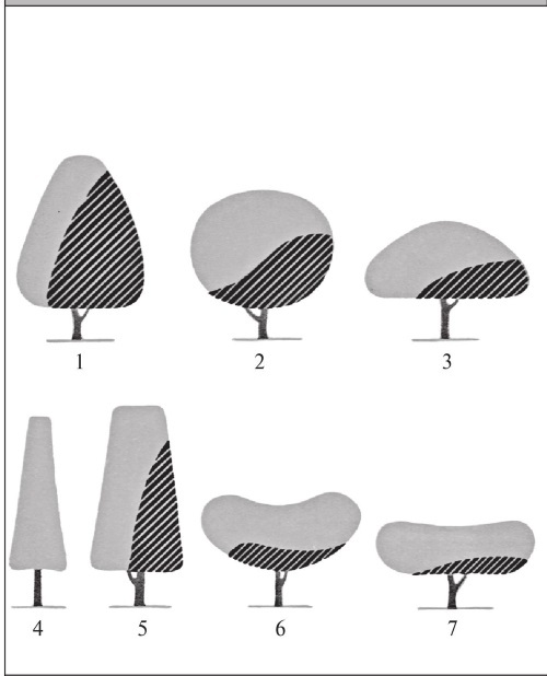 Формирование и обрезка садовых деревьев - i_051.jpg