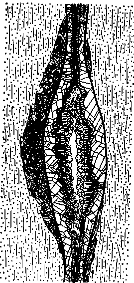 Определитель минералов - img_2.png