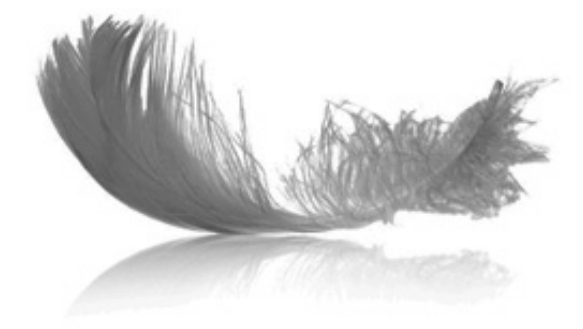 Как видеть ангелов. Реальные истории людей - i_001.jpg