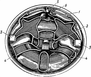 120-мм миномет обр. 1938 г. Руководство службы - i_023.jpg