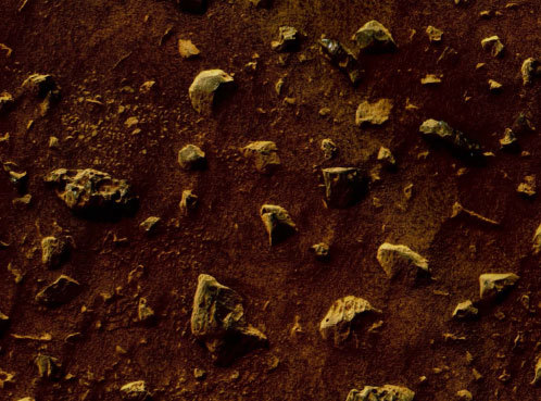 История всего - i_036.jpg