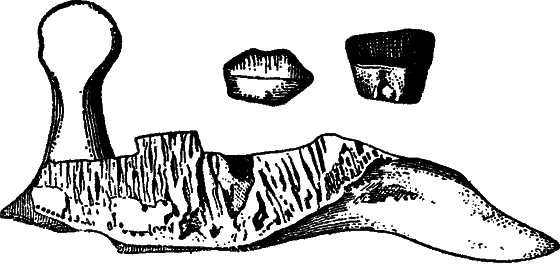 Жизнь охотника за ископаемыми - i_013.png