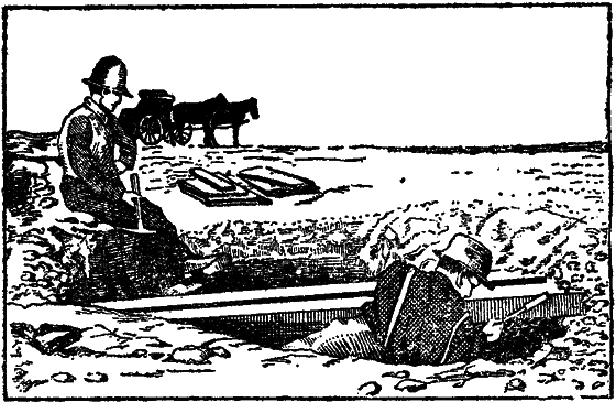 Жизнь охотника за ископаемыми - i_019.png