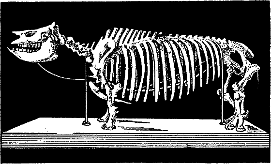 Жизнь охотника за ископаемыми - i_023.png