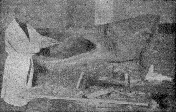 Жизнь охотника за ископаемыми - i_044.jpg