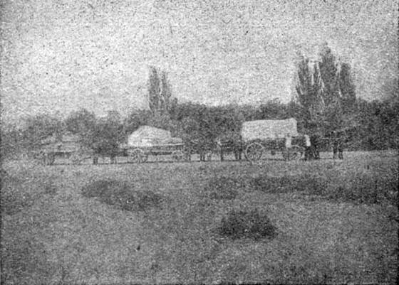 Жизнь охотника за ископаемыми - i_050.jpg