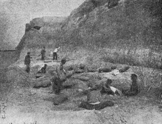 Жизнь охотника за ископаемыми - i_052.jpg