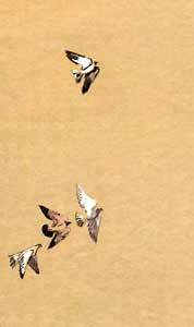 Ай, да Пятёркин! - i_014.jpg