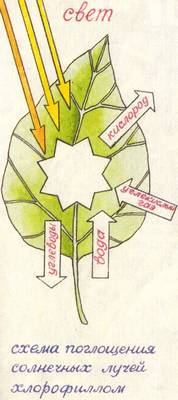 Теперь я знаю... - _064.jpg