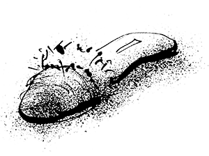 Путешествие на Тандадрику - i_044.png