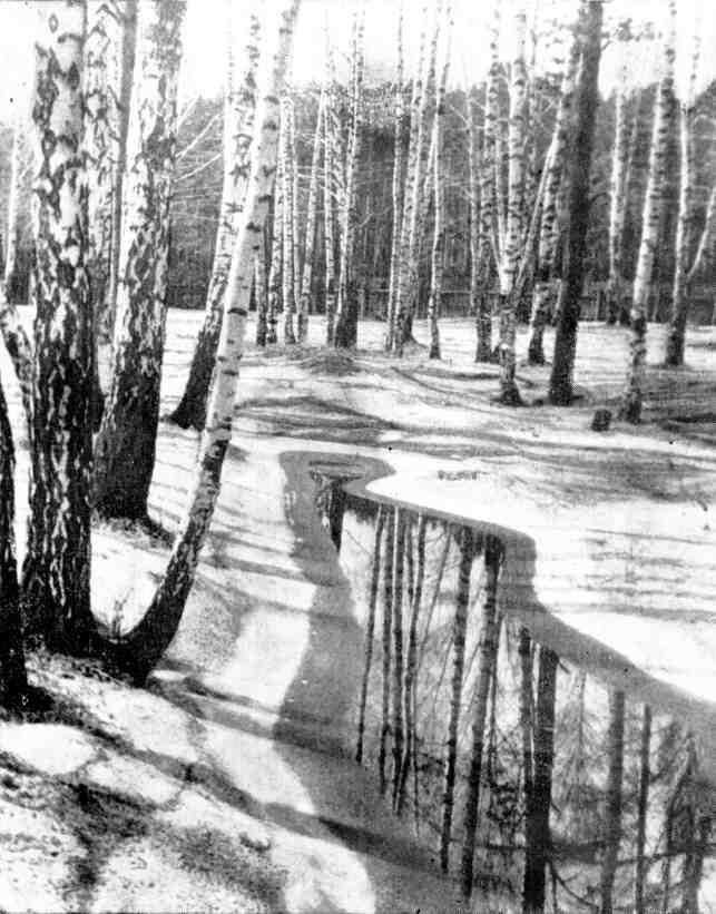 Как просыпается Солнце - img_6.jpeg