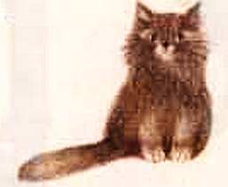 Соседи по планете: Домашние животные - i_004.jpg