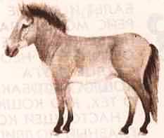 Соседи по планете: Домашние животные - i_018.jpg