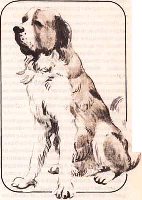 Соседи по планете: Домашние животные - i_021.jpg