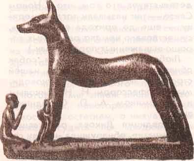 Соседи по планете: Домашние животные - i_027.jpg