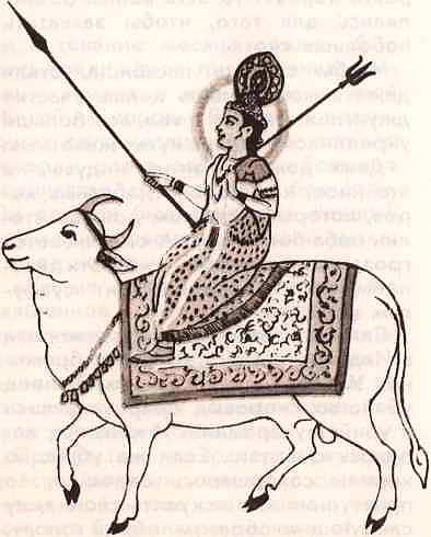 Соседи по планете: Домашние животные - i_041.jpg