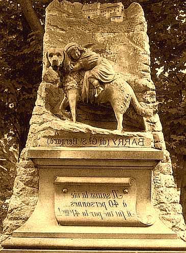 Соседи по планете: Домашние животные - i_045.jpg