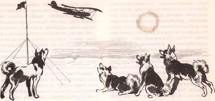 Соседи по планете: Домашние животные - i_047.jpg