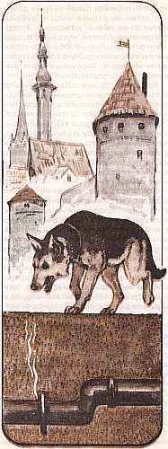 Соседи по планете: Домашние животные - i_048.jpg