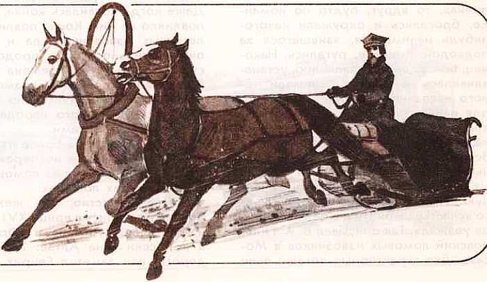 Соседи по планете: Домашние животные - i_071.jpg