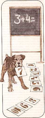 Соседи по планете: Домашние животные - i_081.jpg