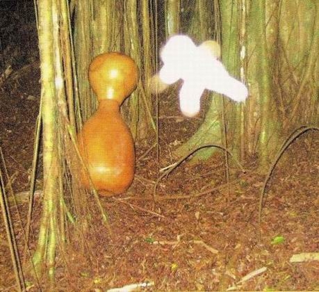 Волшебное царство фей - img_4.jpeg