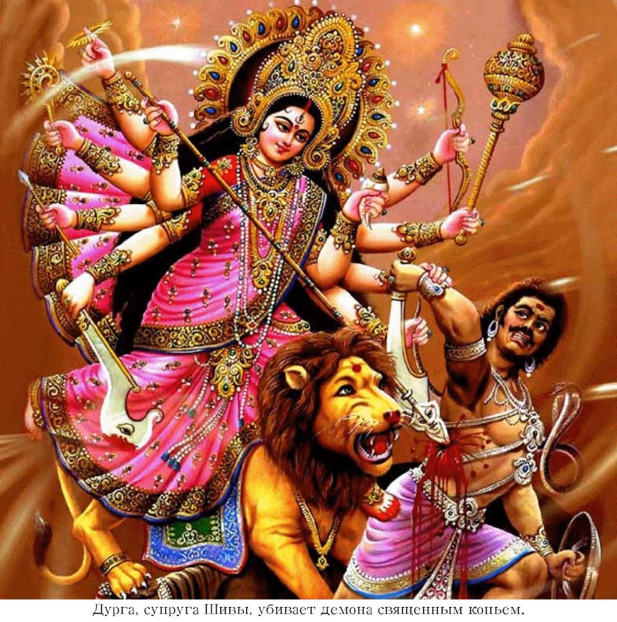 Тайна золотого цветения - img_2.jpeg