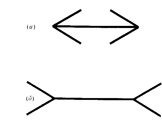 Веб-дизайн - img_0.png