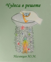 Чудеса в решете - автор Низовцев Юрий Михайлович 