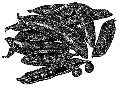 Овощи и зелень. Заготовки по-деревенски - i_002.png