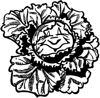 Овощи и зелень. Заготовки по-деревенски - i_004.png