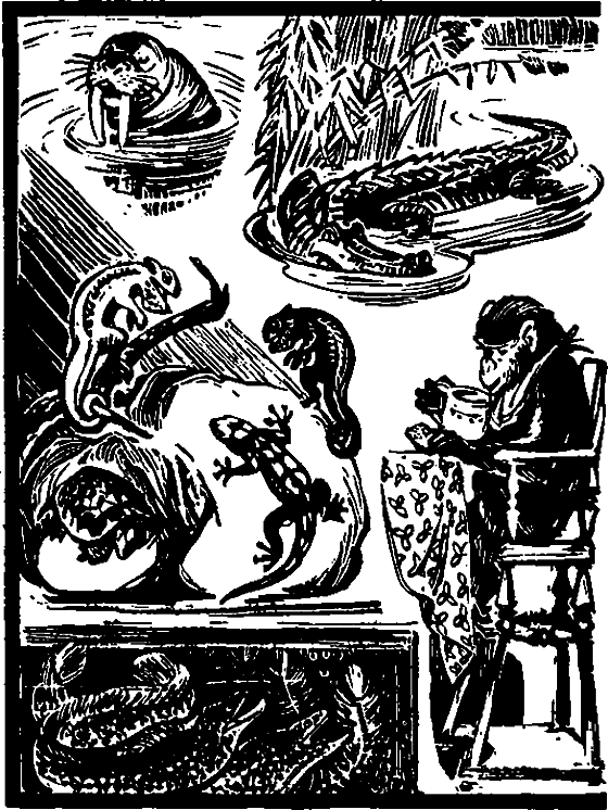 Необыкновенный охотник (Брем) - i_010.png