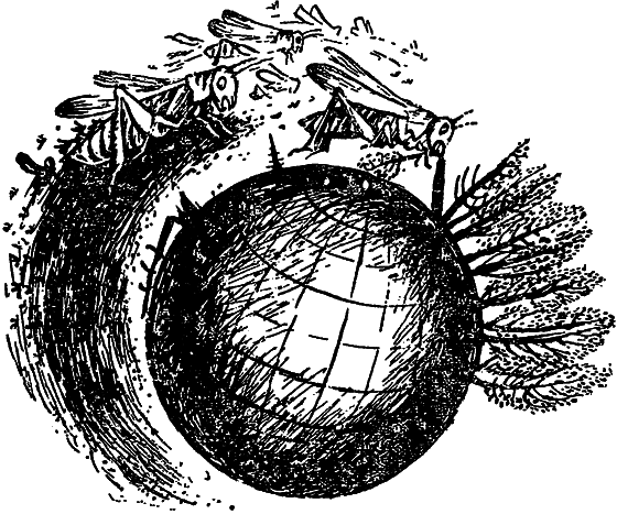 Если посмотреть вокруг - i_007.png