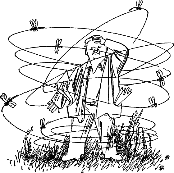 Если посмотреть вокруг - i_008.png