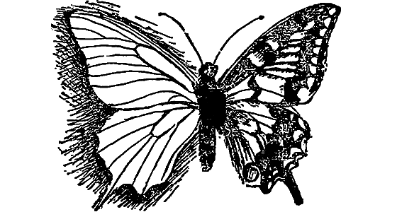 Если посмотреть вокруг - i_019.png