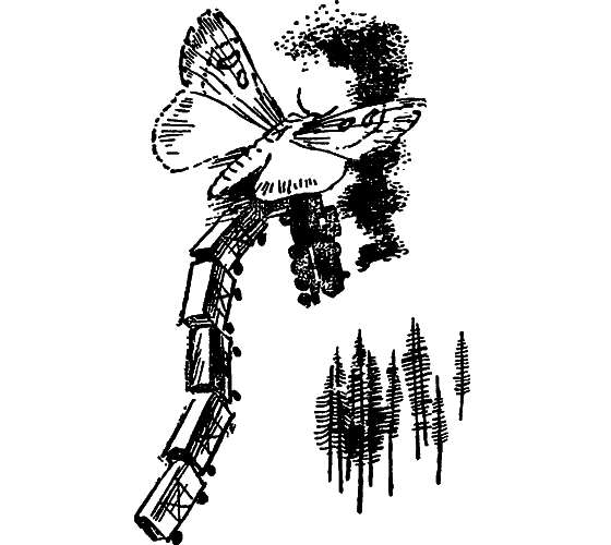 Если посмотреть вокруг - i_031.png