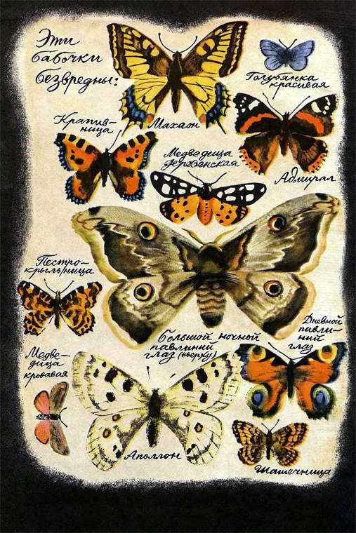 Если посмотреть вокруг - i_033.jpg