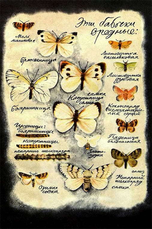 Если посмотреть вокруг - i_034.jpg